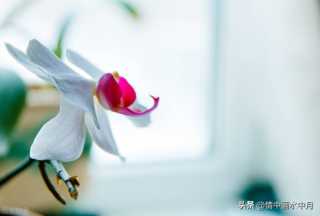 处世名言警句摘抄（人生感悟为人处世的短句）