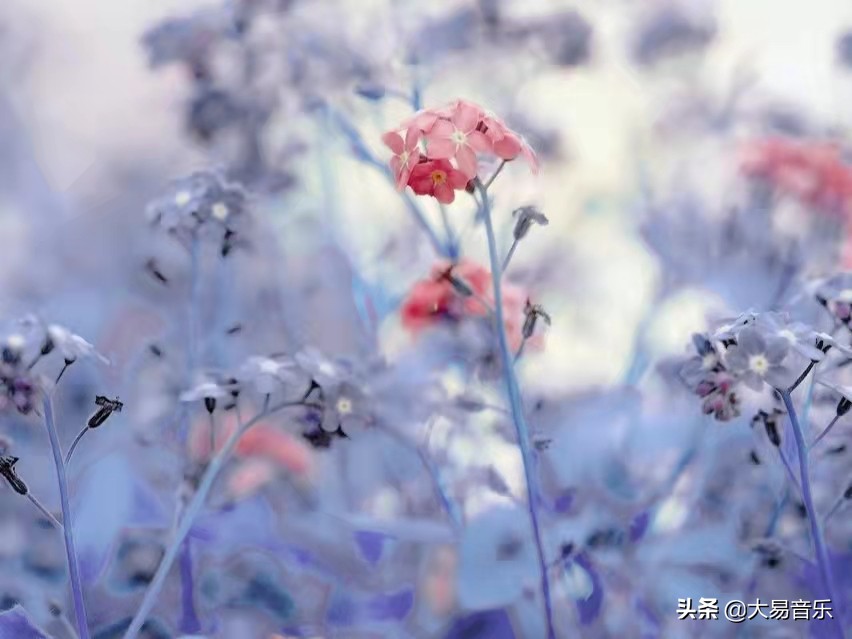 鸡汤句子激励简短（人生鸡汤短句正能量）