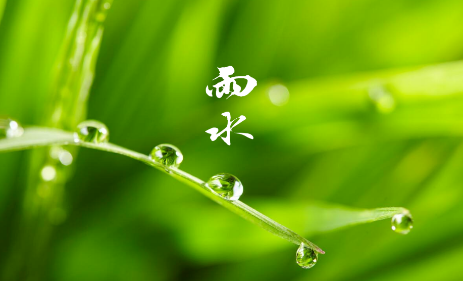 关于春雨的诗句唯美（描写春雨的句子诗句）