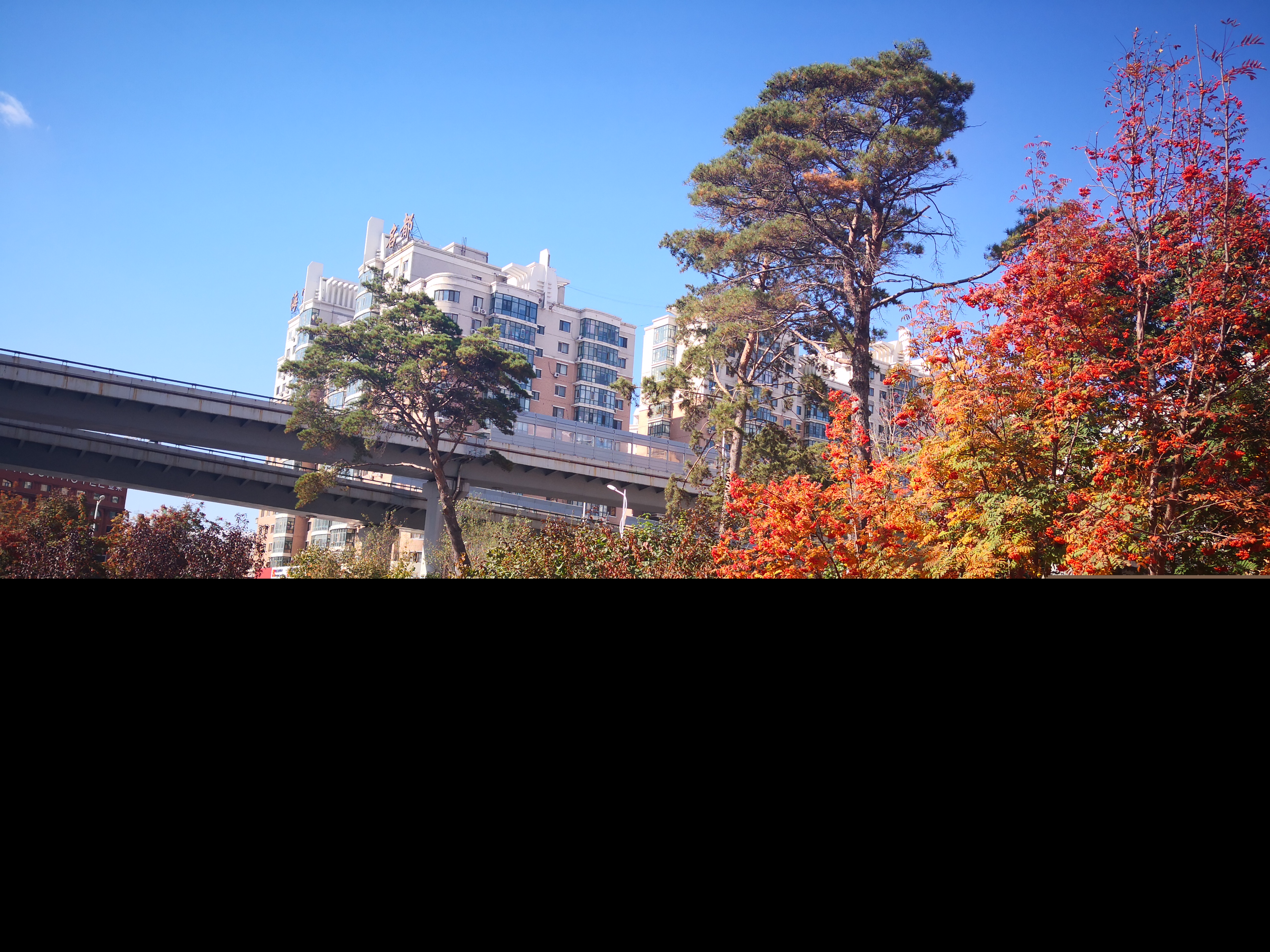 不以规矩不能成方圆的意思（不以规矩不能成方圆的意思和道理）