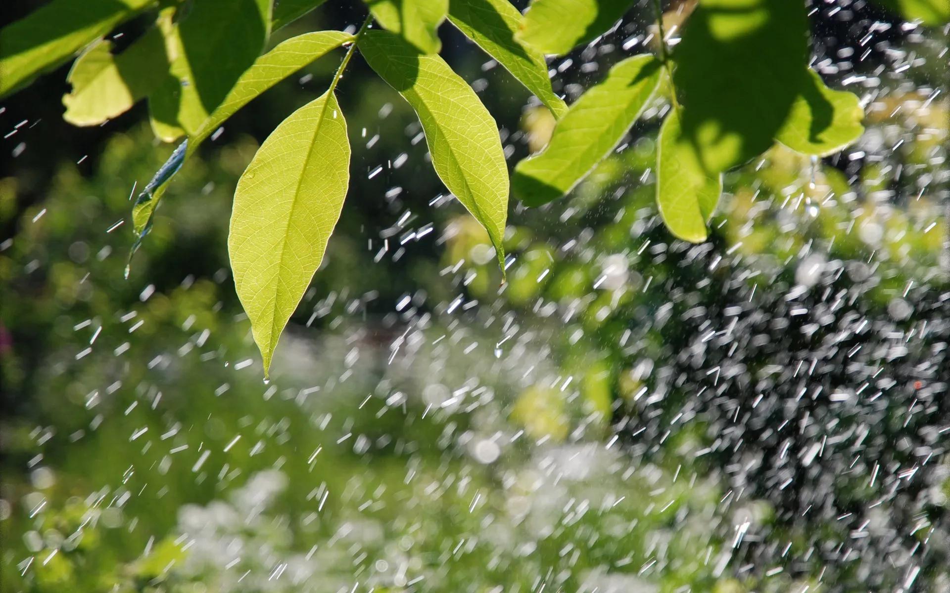 关于雨的唯美句子简短（一句简短的下雨句子）