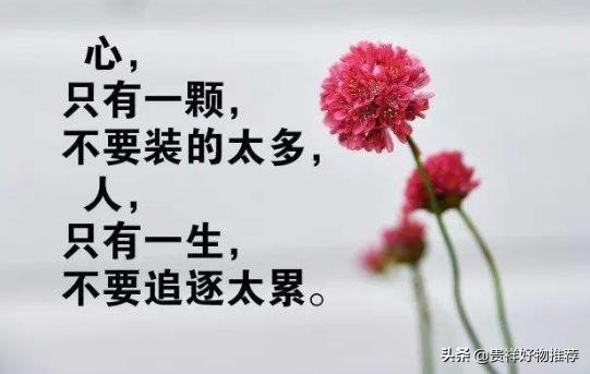 抖音伤感语录短句（最简短最心酸的一句话）