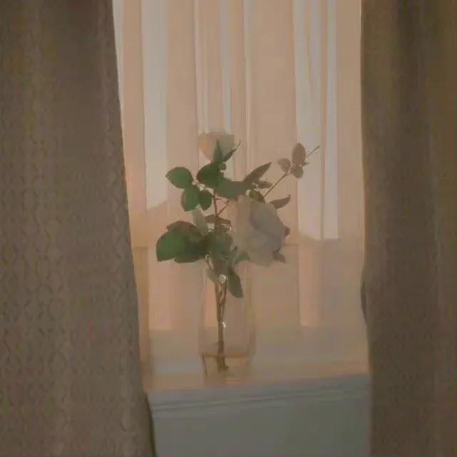 克服困难迎难而上的优美句子（迎难而上的哲理句子）