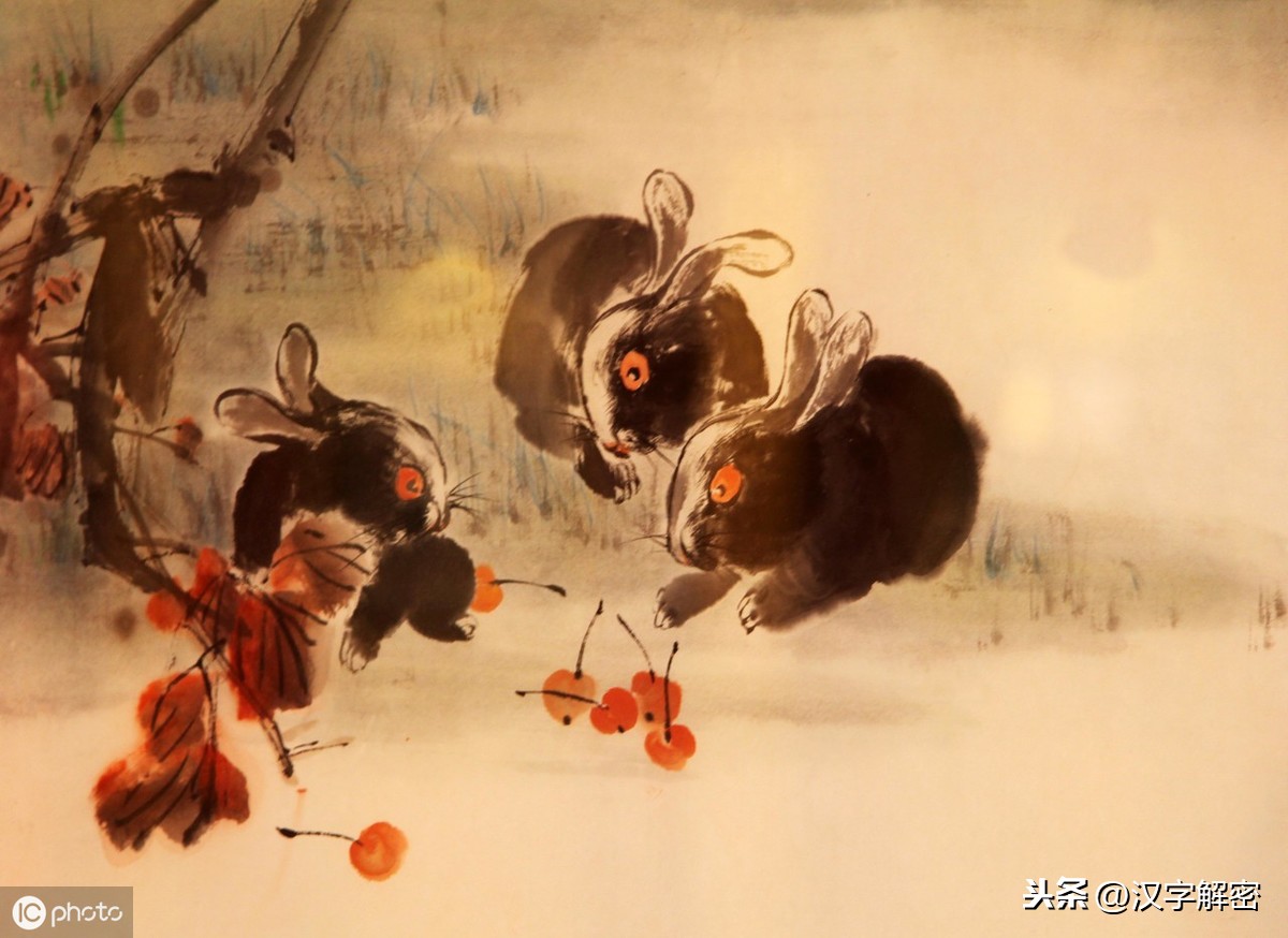 带兔字的成语有哪些（带兔的四字成语大全）