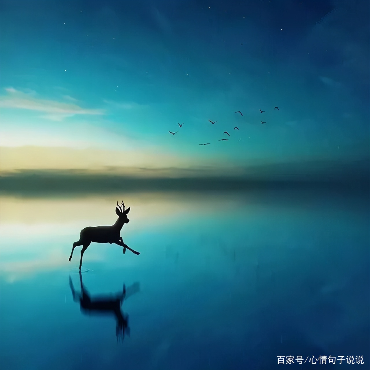 励志的句子经典语句（充满工作正能量的句子）