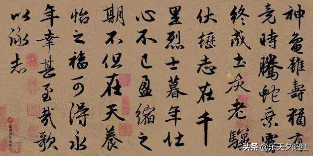龟虽寿曹操翻译（龟虽寿古诗原文赏析）