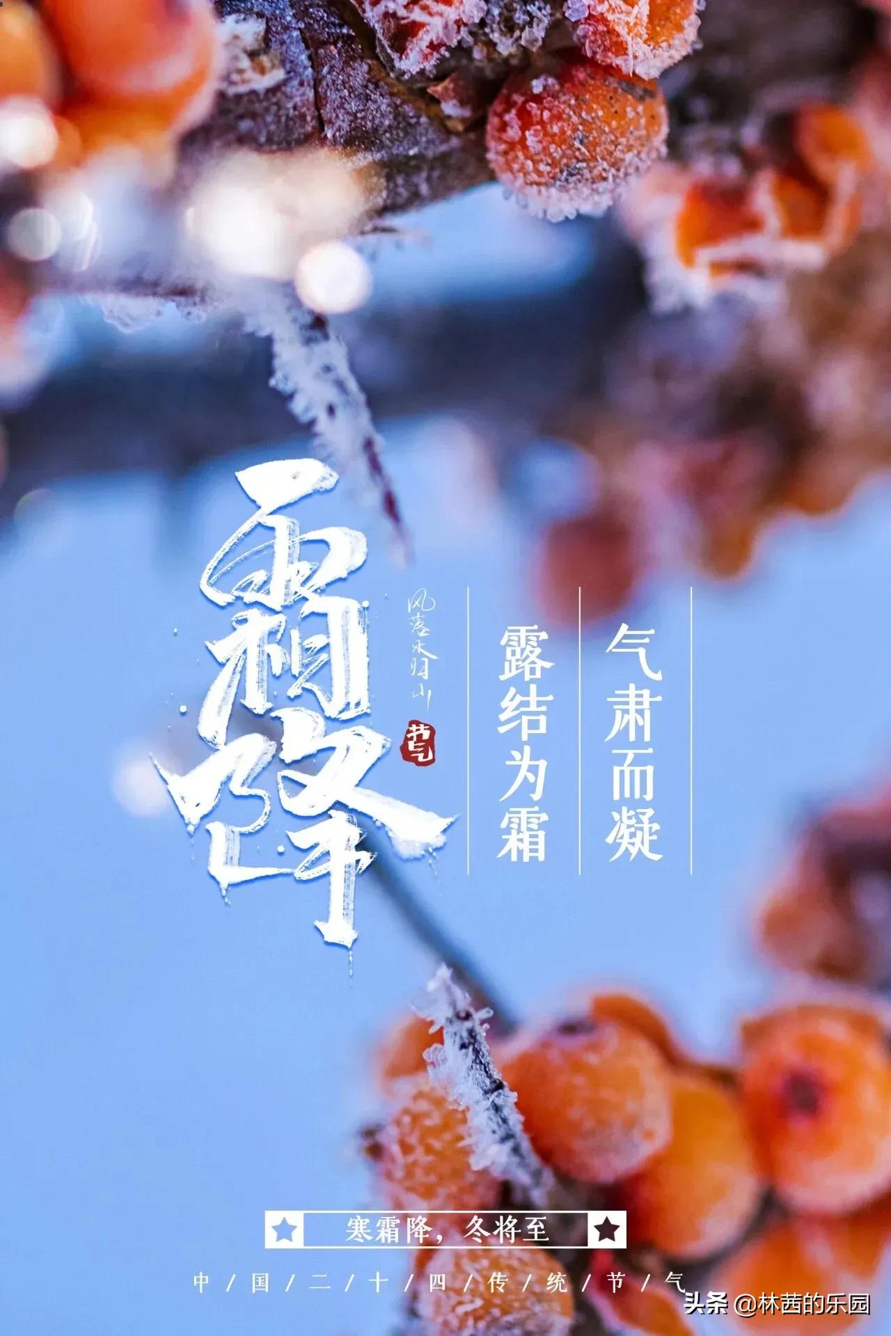 描写霜降的古诗精选（关于霜降的唯美诗句）