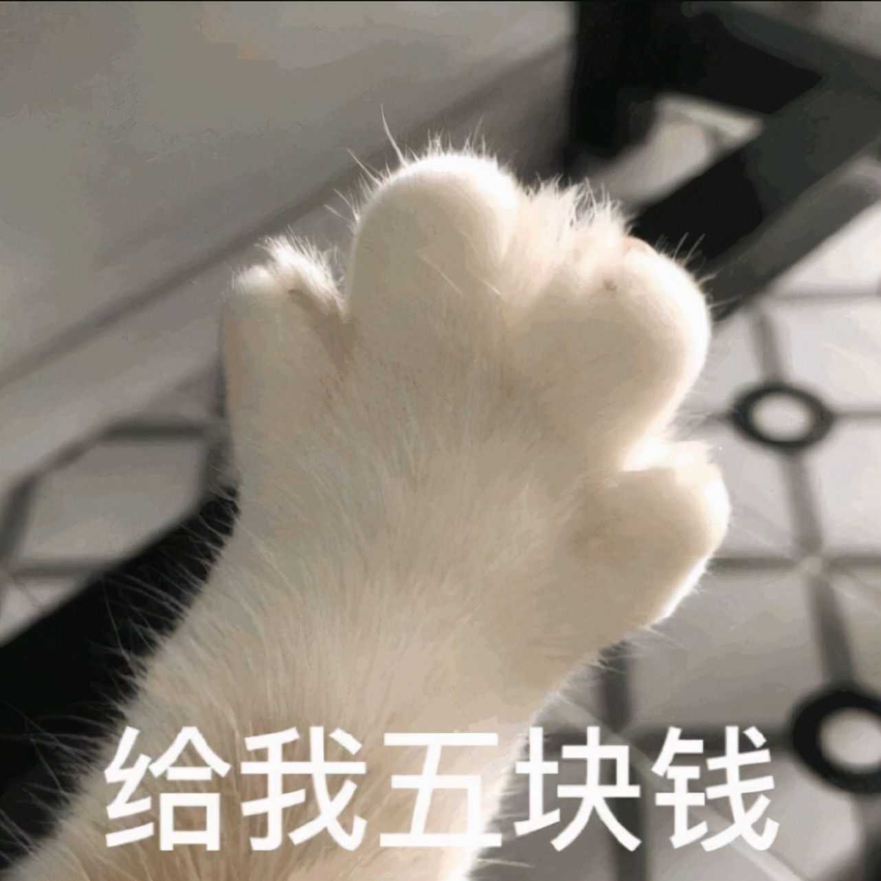 很秀很皮的句子有哪些（很秀很皮的句子大全）