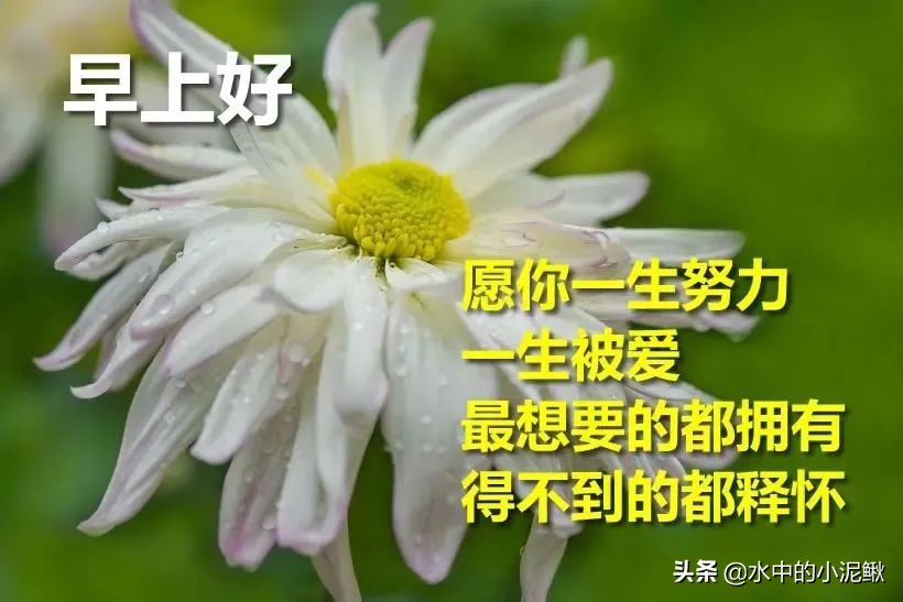 心灵鸡汤青春励志短句（人生鸡汤短句正能量）