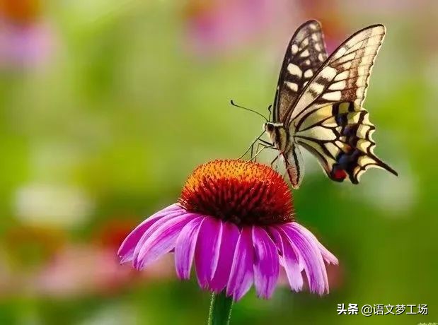 温暖的旅程作文600字（温暖的旅程中考满分作文）