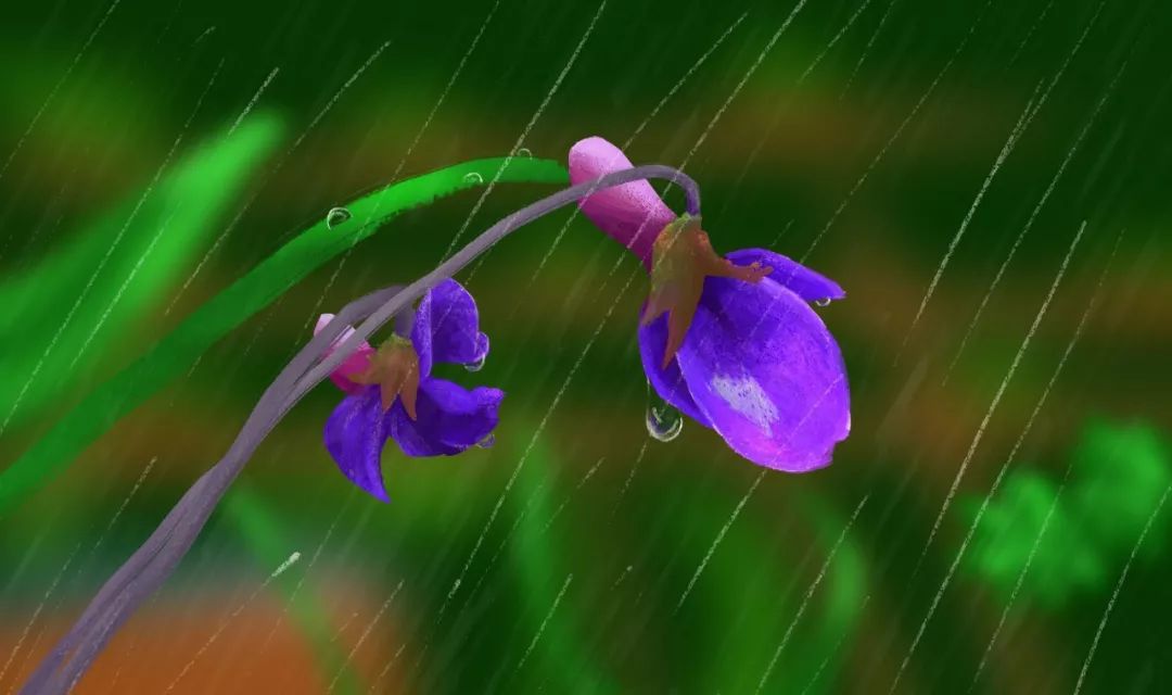 描写春雨的优美句子摘抄（优美的短句子大全）