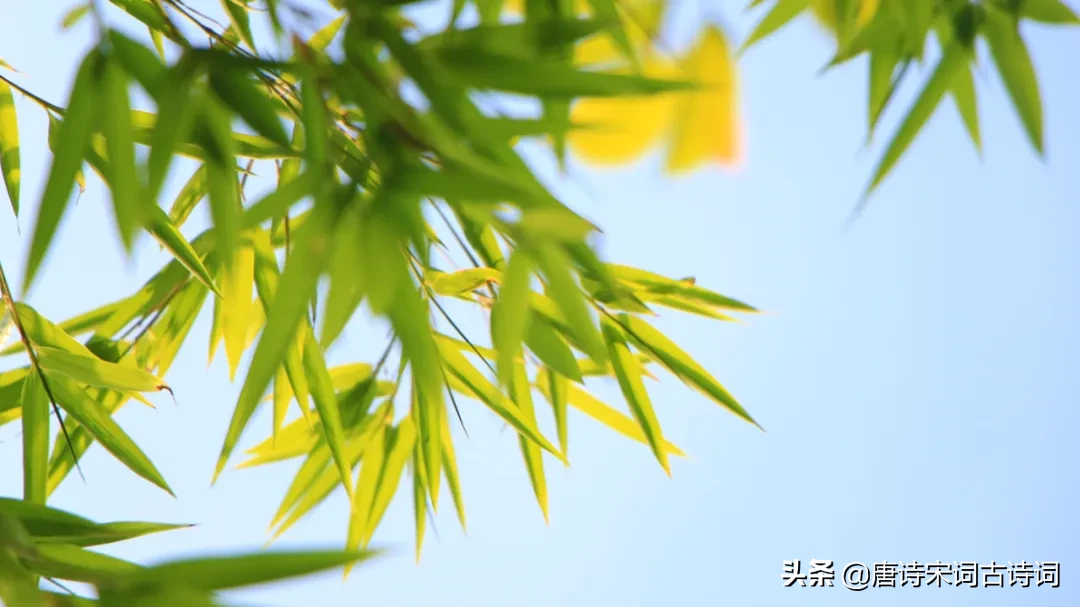 立夏的古诗有哪些（描写立夏的著名古诗）