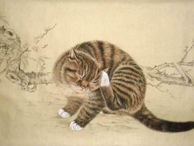 关于猫的诗句有哪些（赞美猫顽皮可爱的最佳诗词）