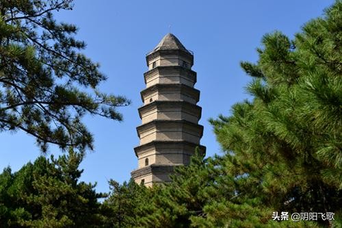 回延安贺敬之原文（贺敬之回延安原文赏析）