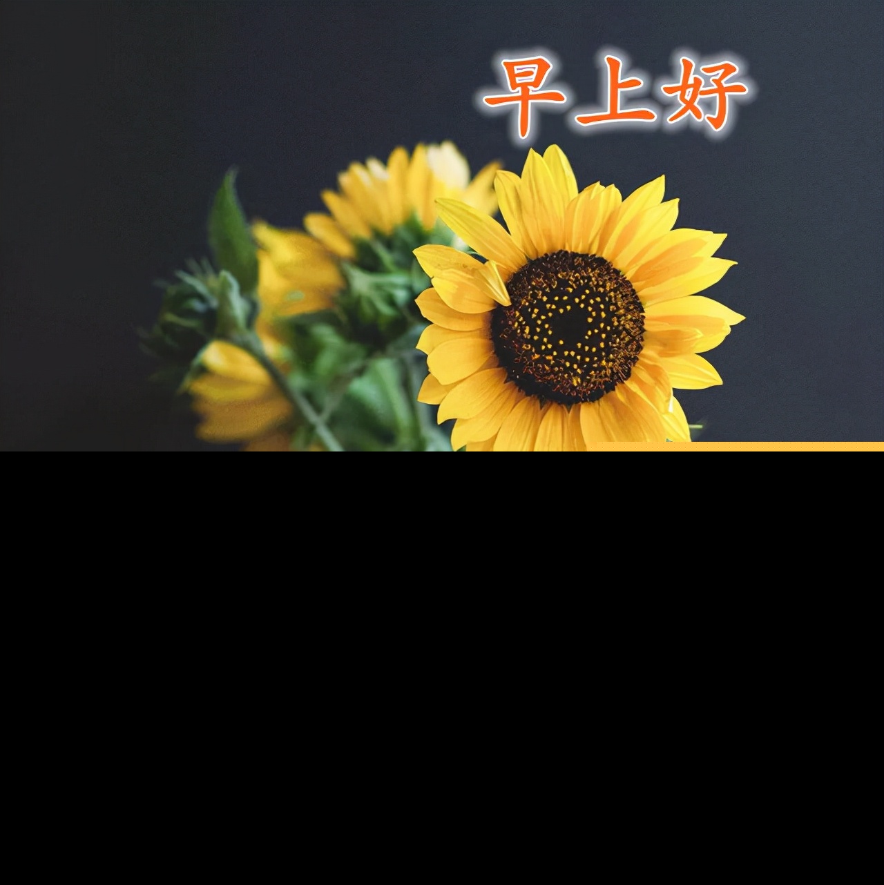 关心的话语句子（情商高安慰人的句子）