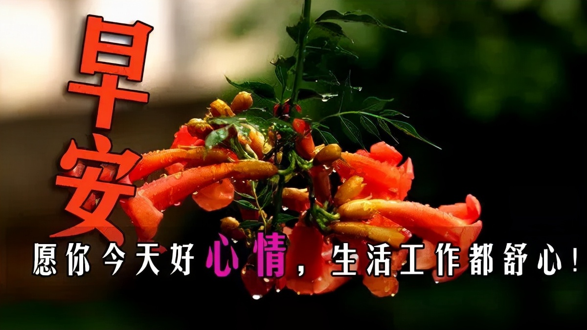 生活美满幸福的句子（表达幸福感的美句）