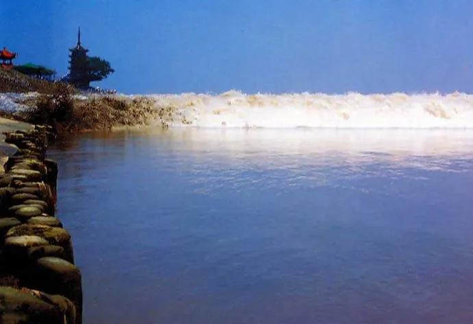 望海潮柳永的启示是什么（望海潮柳永原文赏析）