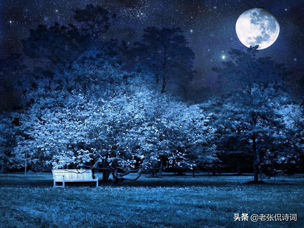 空山新雨后是哪首诗（空山新雨后天气晚来秋全诗及赏析）