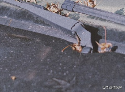 告白的话怎么说（瞬间俘获女孩的短句）