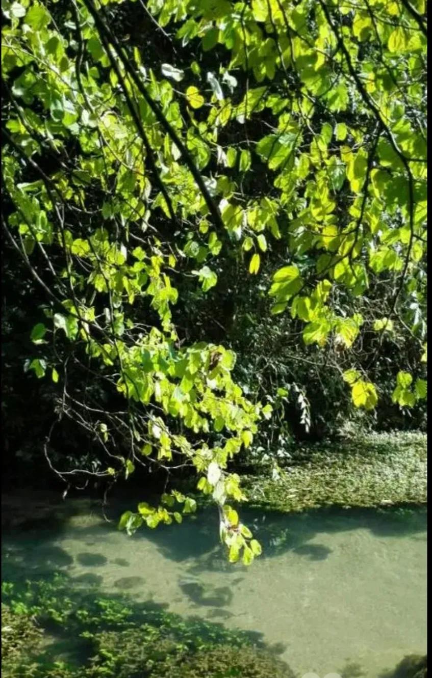 关于水的诗歌简短（写一首赞美水的小诗）