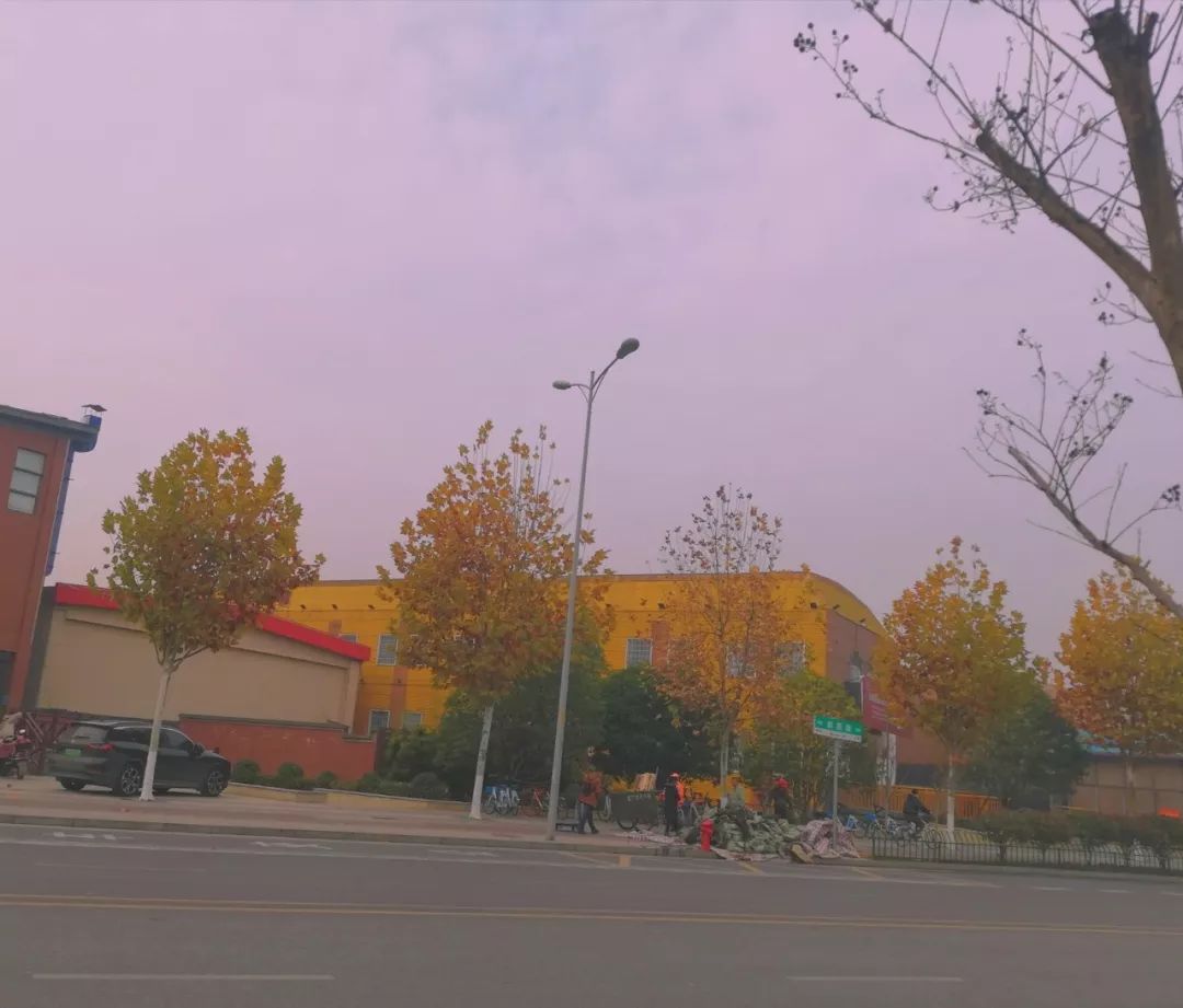 适合摘抄的现代诗（现代诗歌摘抄大全）