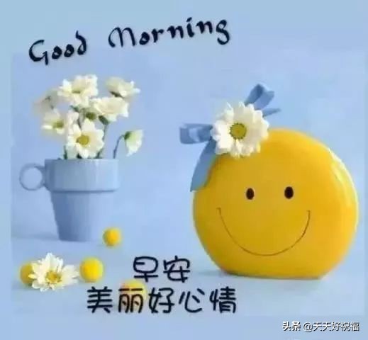 抖音上祝福朋友的句子（一句最友谊暖心的短句）