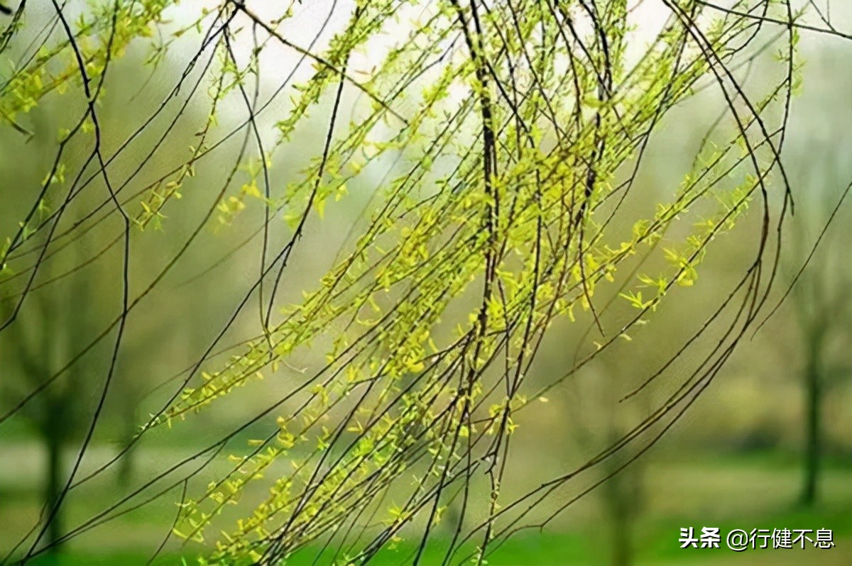 送别诗有哪些古诗（10首经典的送别诗）
