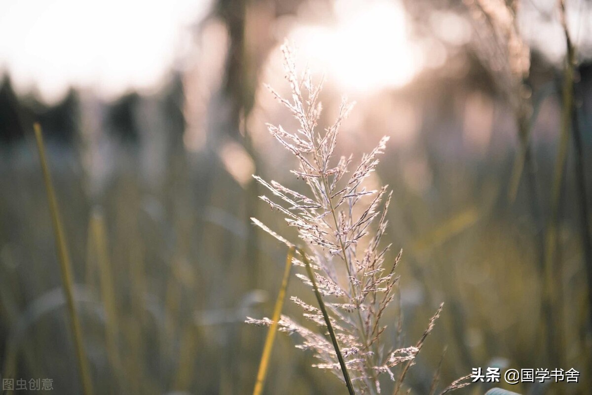 淮南子作者是谁（淮南子全文及译文）