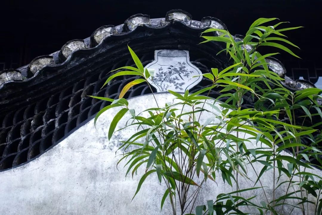 描写竹子的优美句子(赞美竹子的古诗词大全）