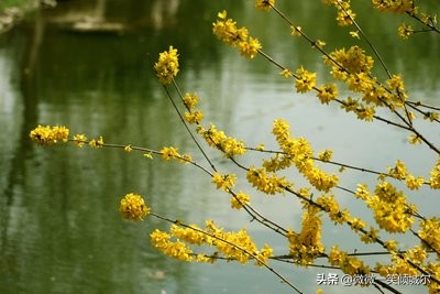 抖音励志阳光简短英语句子（适合抄写的英语美文）