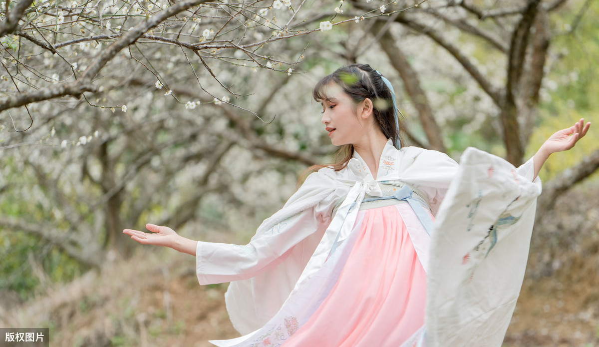 陆游钗头凤的翻译与赏析（钗头凤译文对比赏析）