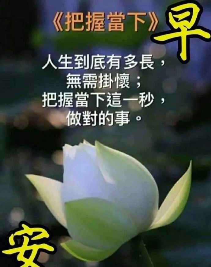 祝朋友天天开心的句子（祝福对方心情好的美句）