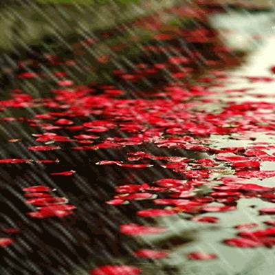 连续两句含有雨的诗句（关于赞美雨的诗句）