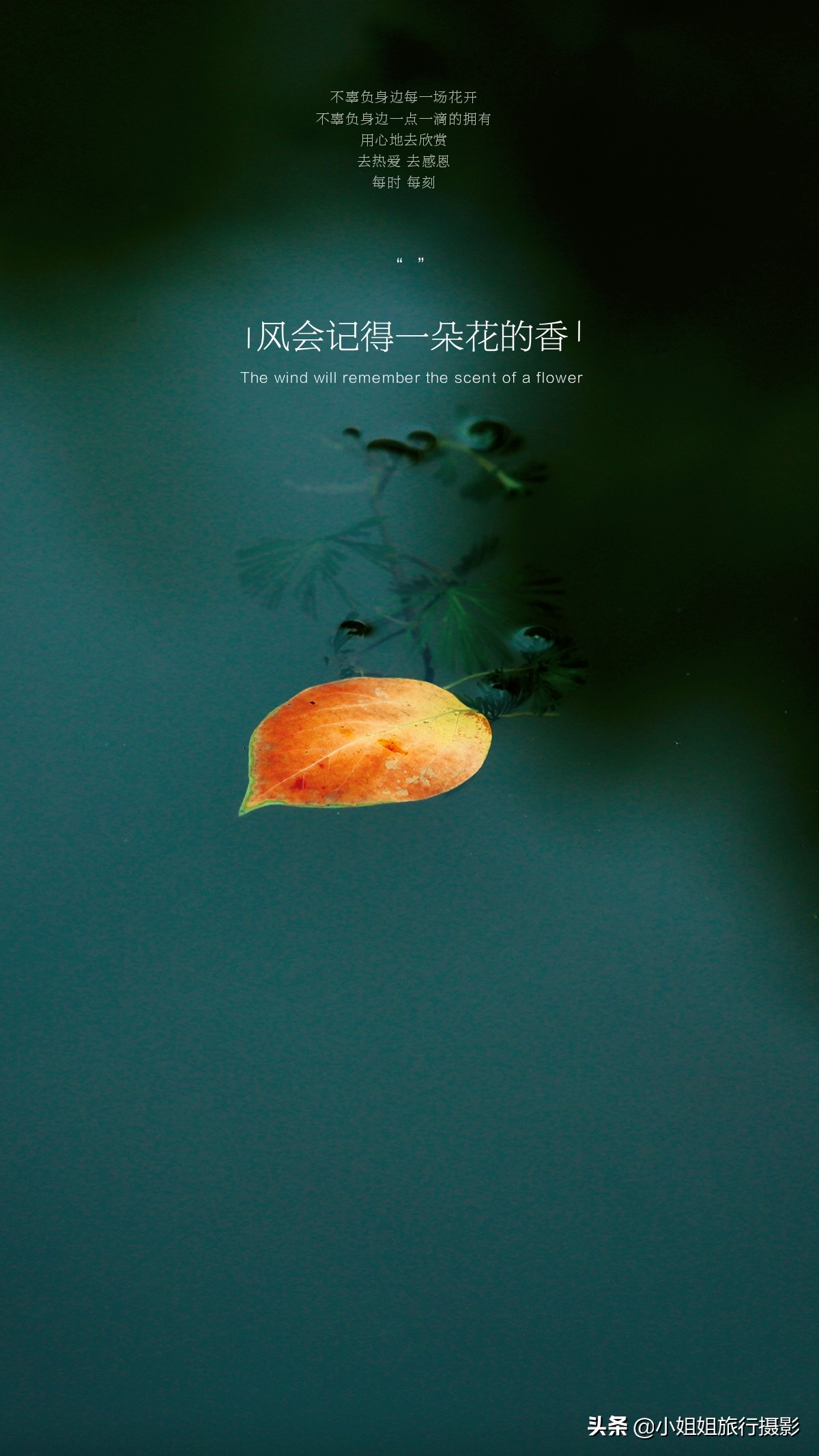 关于摄影的名言名句（镜头留住美好瞬间的摄影金句）