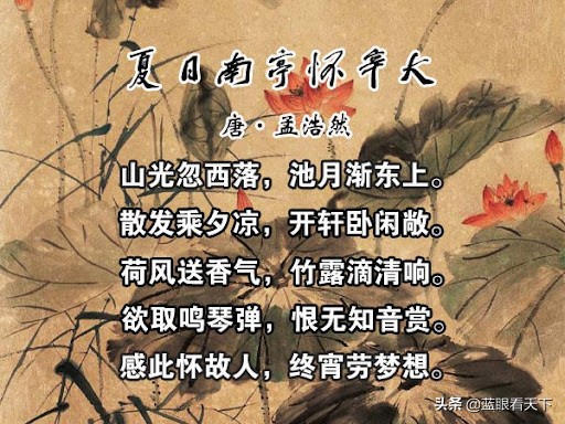写夏天的诗句古诗（描写夏天的古诗10首）