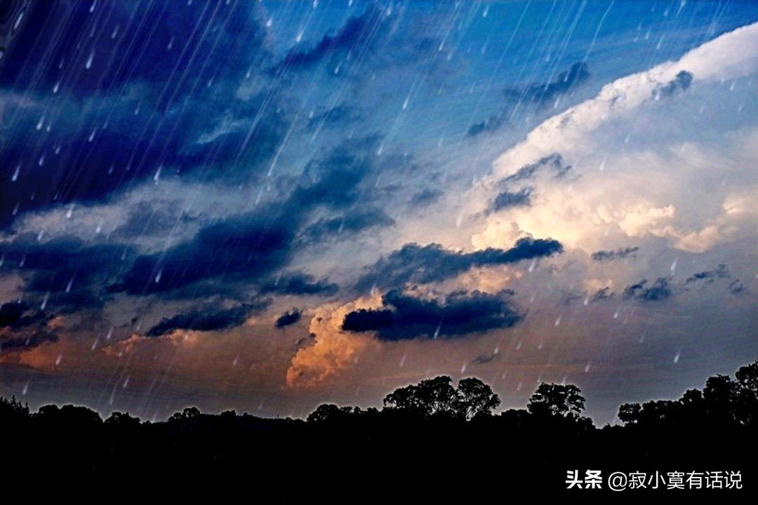 夏天的雨是什么的句子（关于夏天下雨的优美语句）
