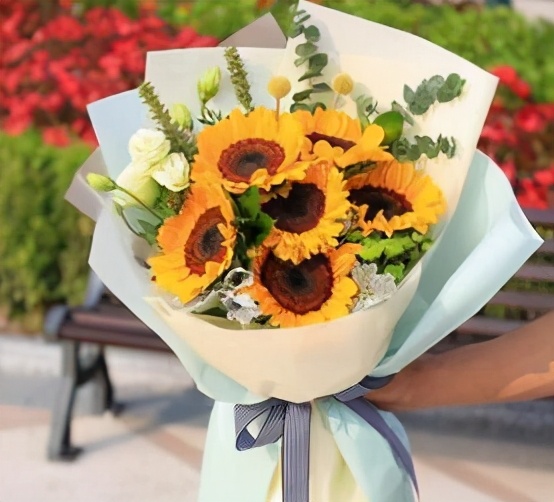 赞美老师的诗歌朗诵（教师节诗朗诵）