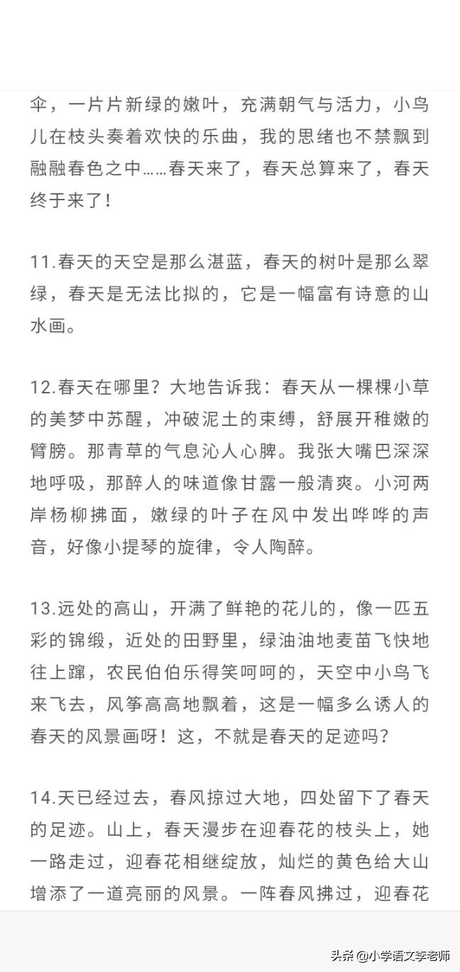 比喻春天的句子有哪些（有关春天的美句摘抄大全）