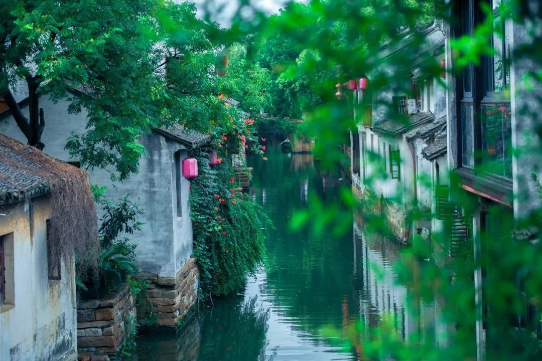 形容江南美景的句子（赞美江南美景的诗）