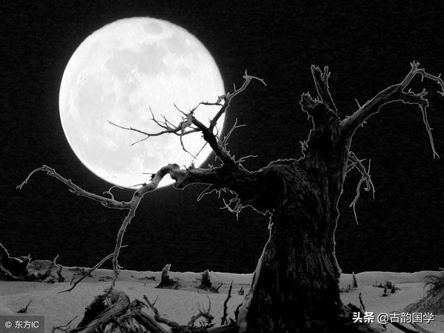 三朝名臣言行录翻译（文言文原文注释翻译）