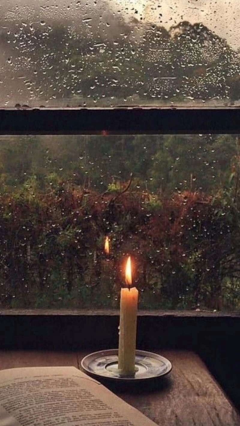 描写花的优美句子段落（赞美花的唯美句子）