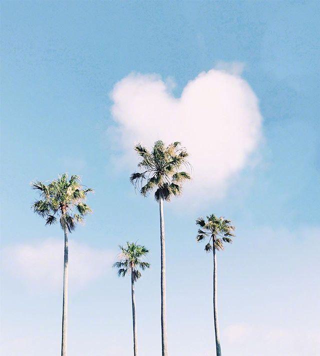 赞美早起的经典句子（早上好励志语录经典短句）
