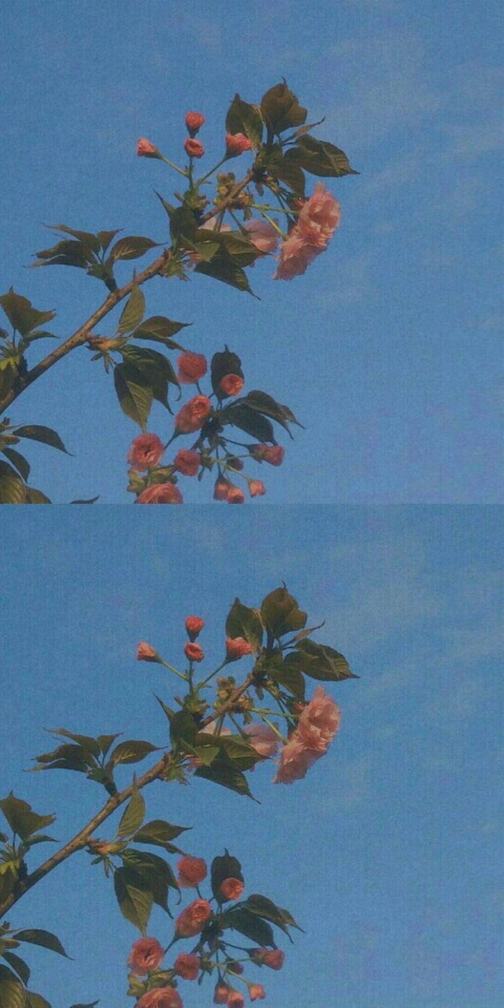 有关蓝色的文艺句子（描写蓝色的唯美句子大全）