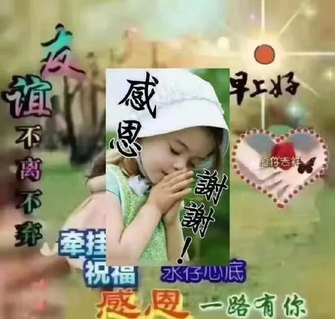 祝朋友天天开心的句子（祝福对方心情好的美句）