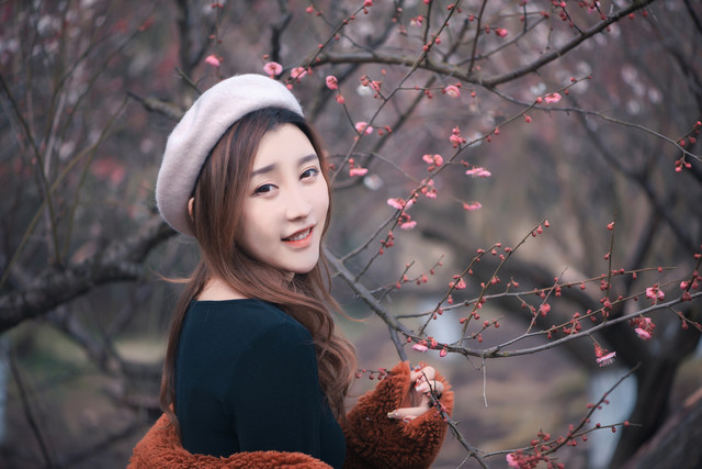 写梅花的诗有哪些诗（赞美梅花的七言诗）