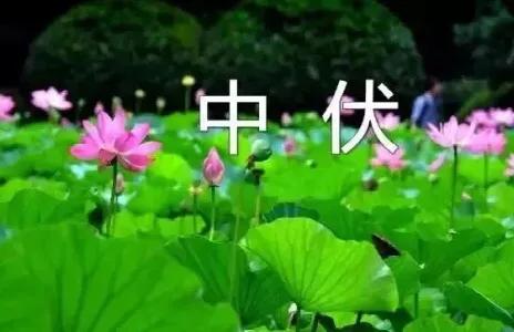描写太阳炎热的句子（形容太阳火辣辣的优美短句）