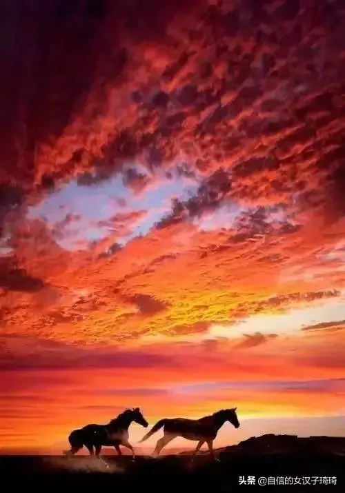 夕阳西下的唯美句子（一句简短的日落句子）