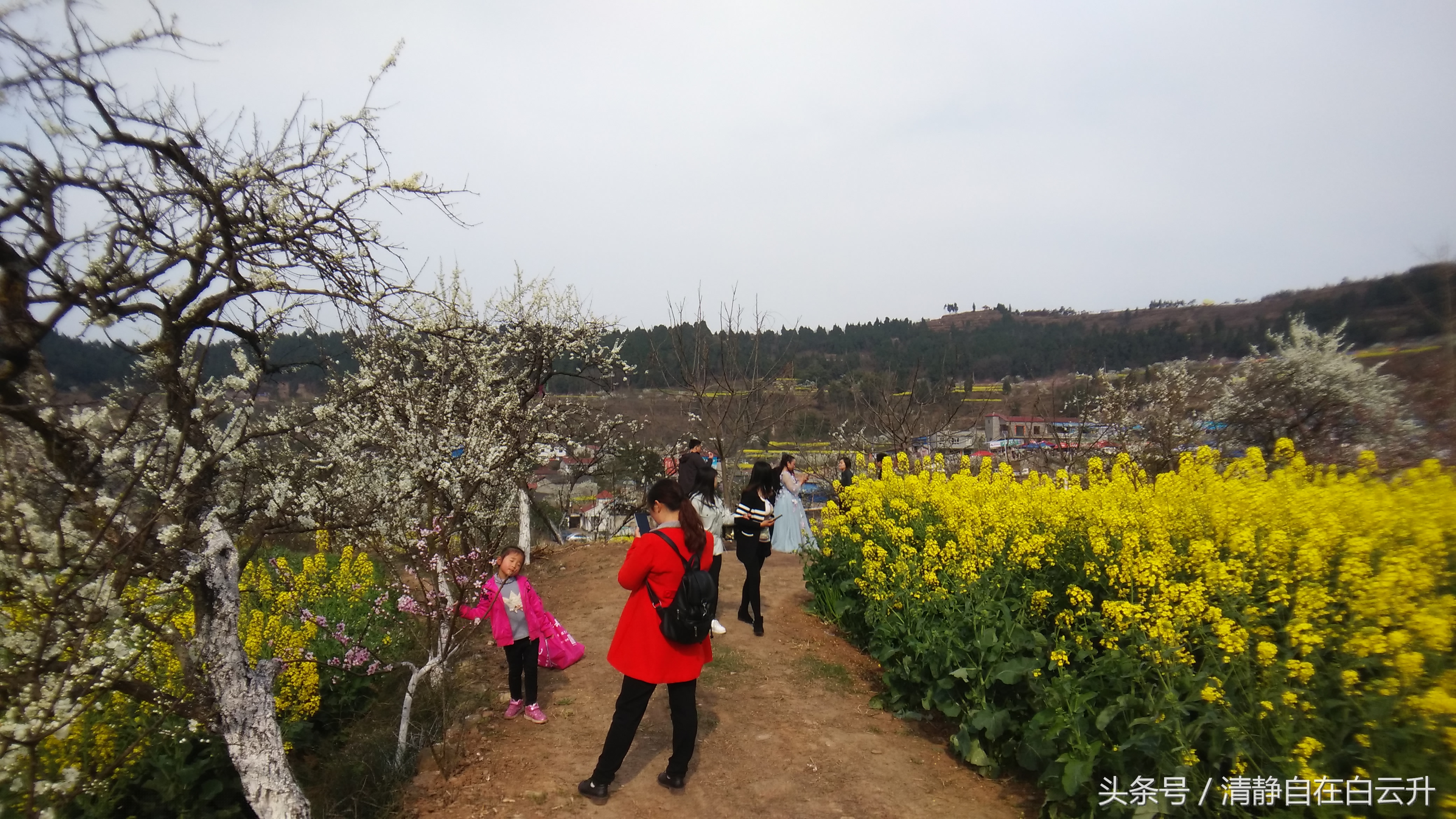 生命在于运动唯美句子（运动使我快乐的优美句子）