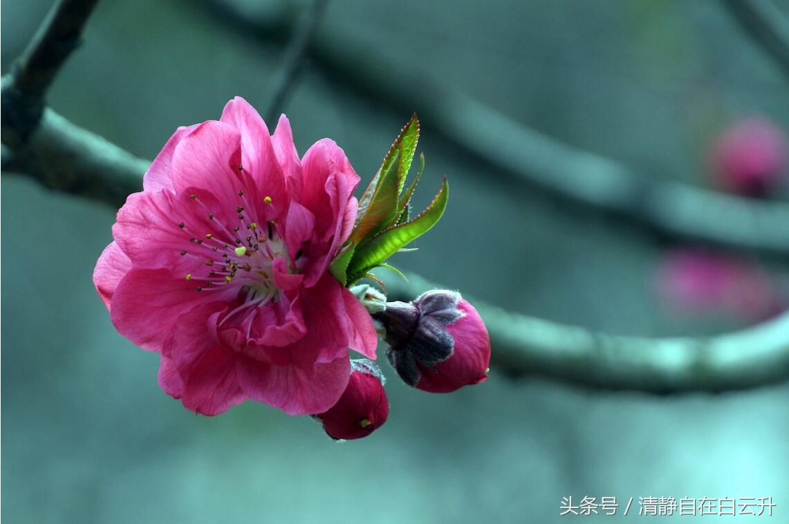 生命在于运动唯美句子（运动使我快乐的优美句子）