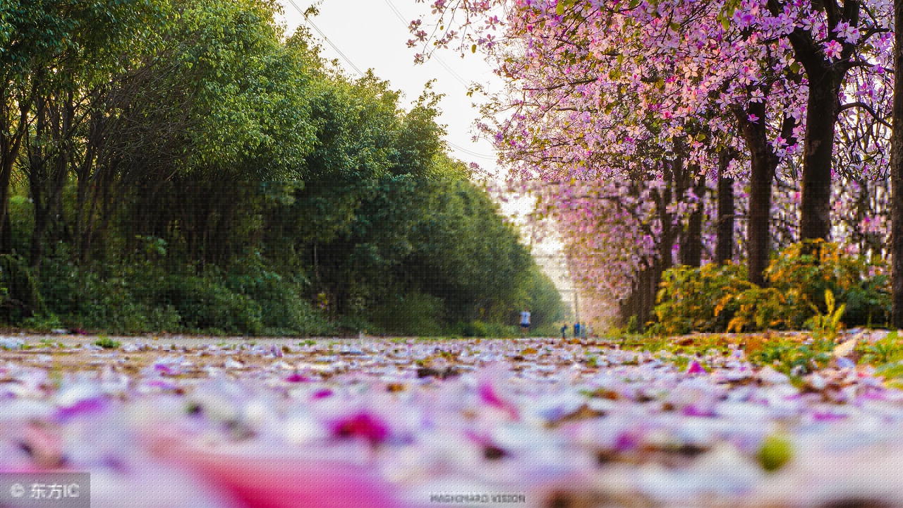 江南逢李龟年杜甫古诗（杜甫有名诗句大全）
